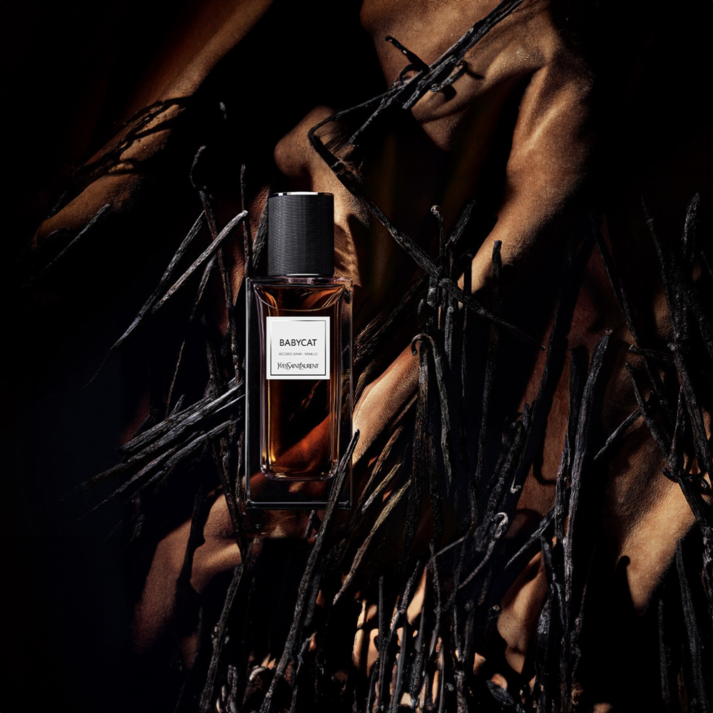 BabyCat by Yves Saint Laurent EDP Perfume – Fougere Fragrance