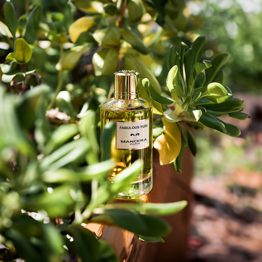 Fabulous Yuzu By Mancera EDP Perfume New Launch