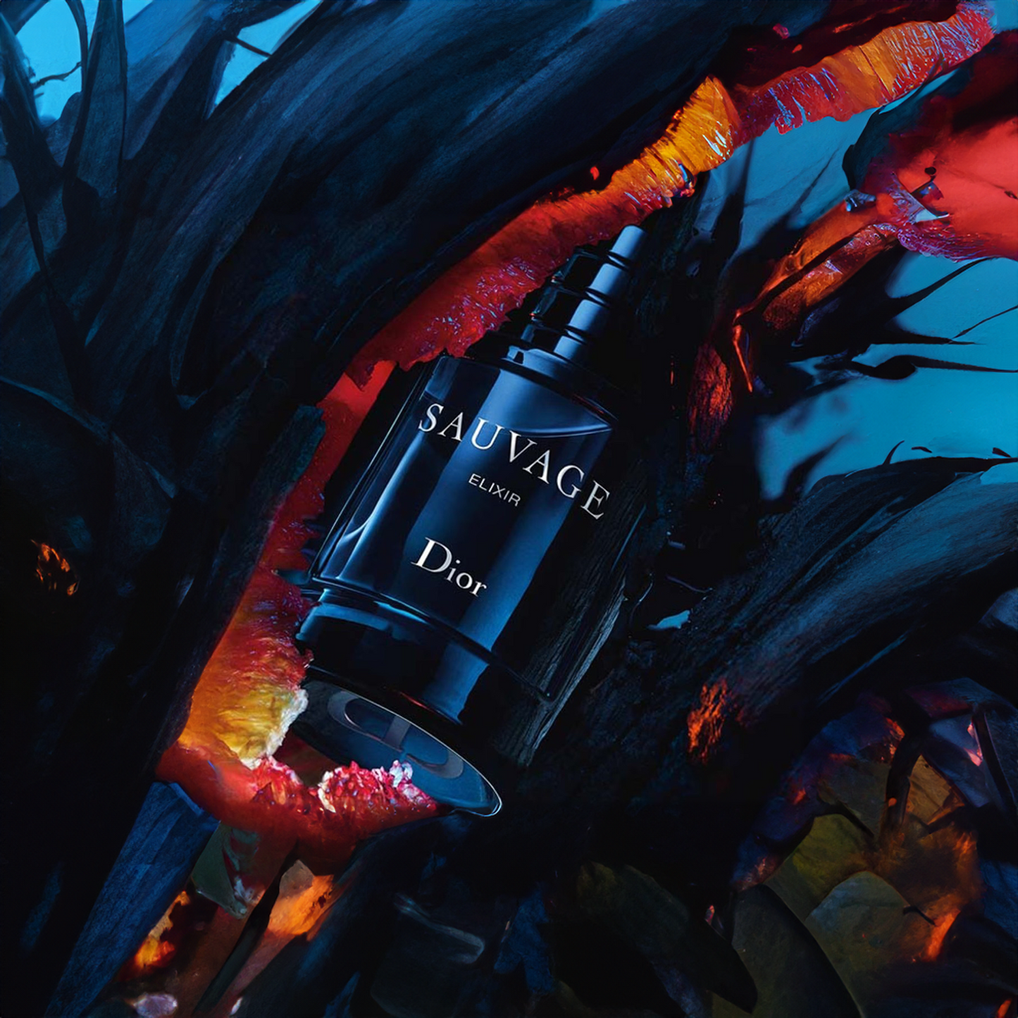 Sauvage By Dior Elixir