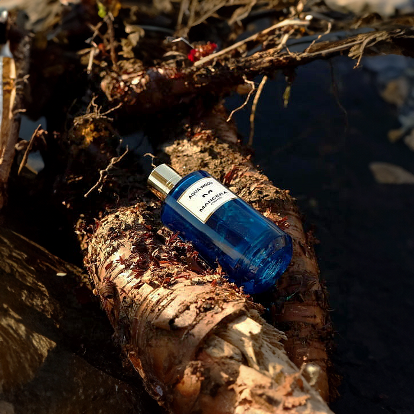 Aqua Wood By Mancera EDP Perfume